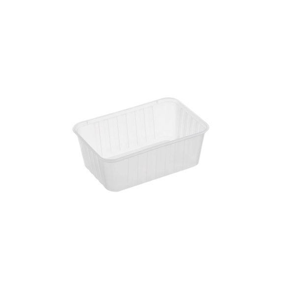 Plastic Ribbed Rectangular Container 2