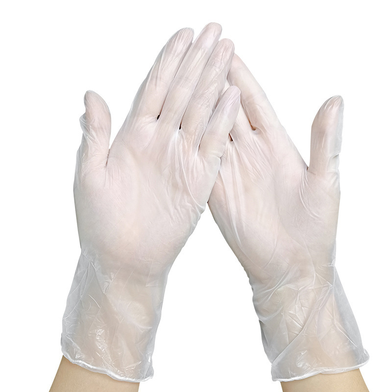 Vinyl Gloves