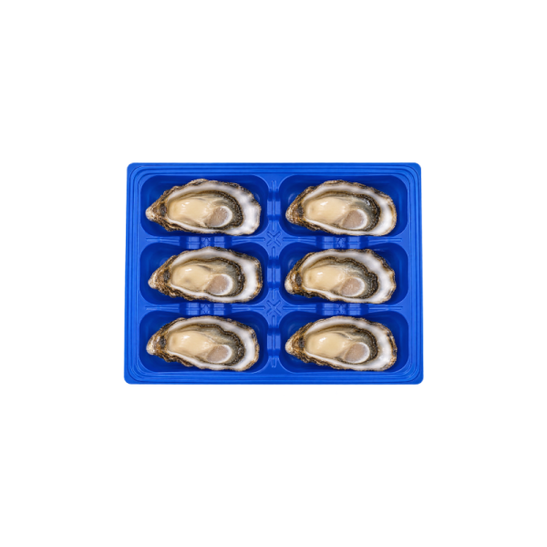 Oyster Tray 6 Cavities oyster for display only Oyster Tray 6 Cavities oyster for display only