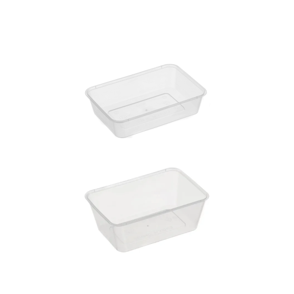 Plastic Rectangular Container
