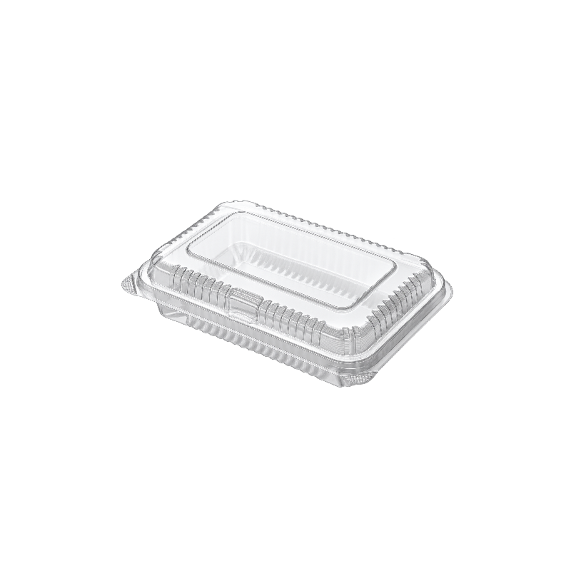 Rectangular Lock-Hinged Lid Containers 1