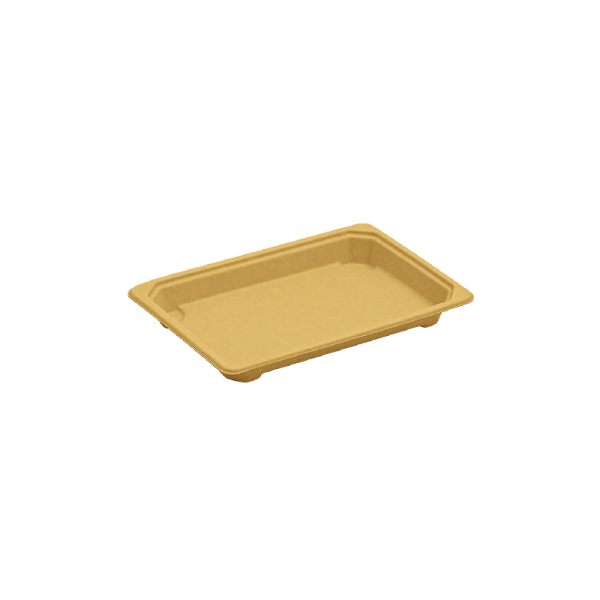 Sushi Tray Large 1