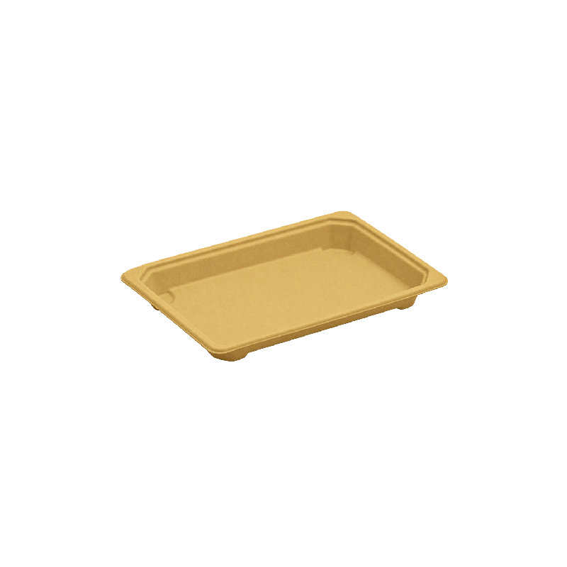 Sushi Tray Large 1