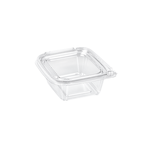 Tamper Proof Container 1