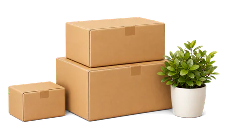 Delivery boxes and plant