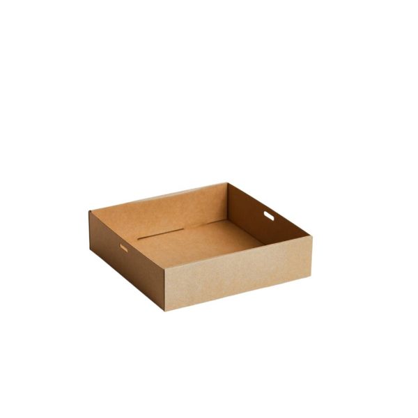Catering Tray - 5