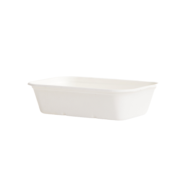 650ml Sugarcane Rectangular Container