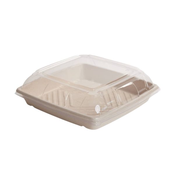 Medium Sugarcane Platter and PET Lid