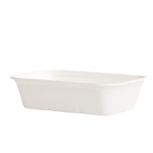 1000ml Sugarcane Rectangular Container