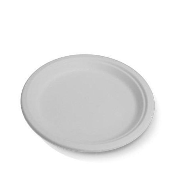 9" Sugarcane Round Plate
