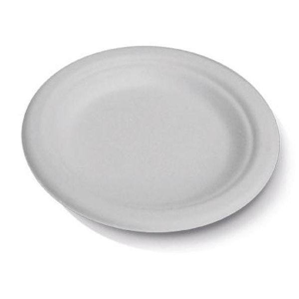 10" Sugarcane Round Plate