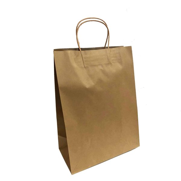 Kraft Twisted Handle Carry Bag - Medium