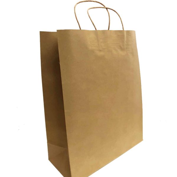 Kraft Twisted Handle Carry Bag - Medium Plus