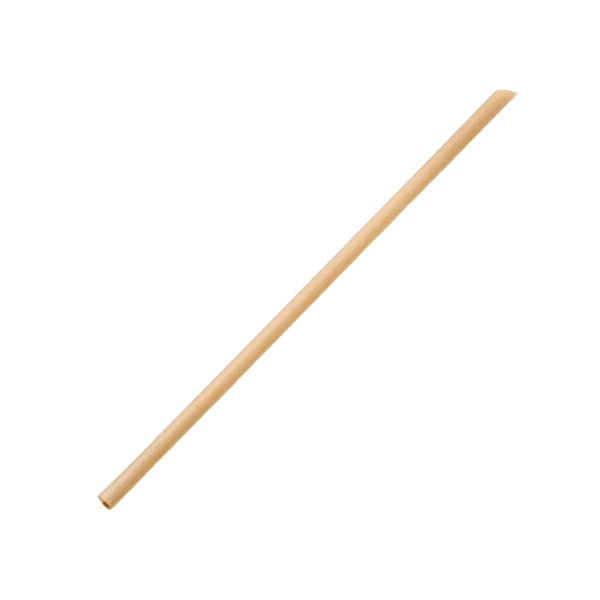 6x210mm Sugarcane Straws